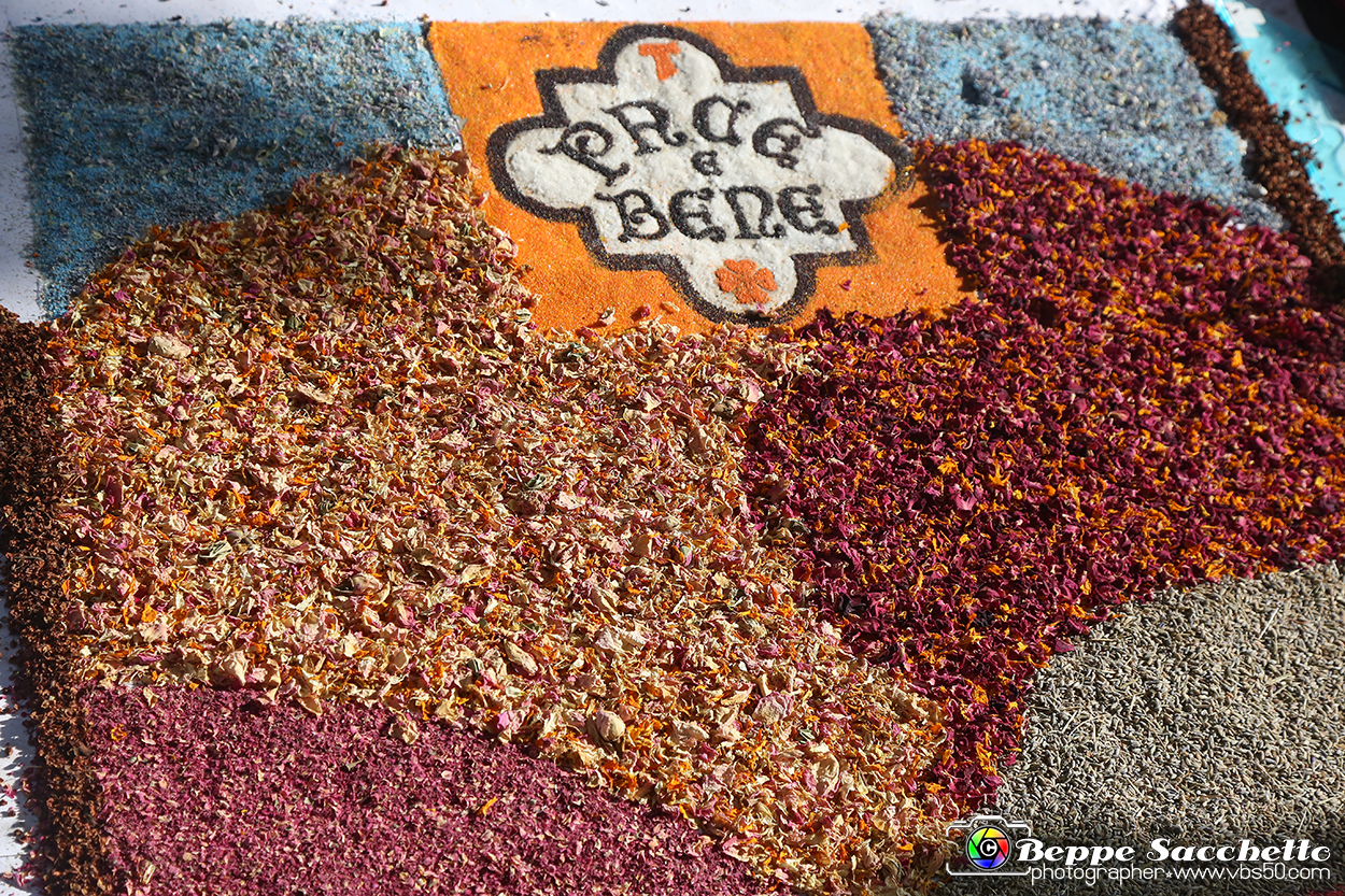 VBS_9570 - Infiorata di Villanova d'Asti 2023.jpg